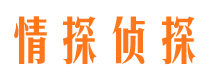 上甘岭市侦探调查公司